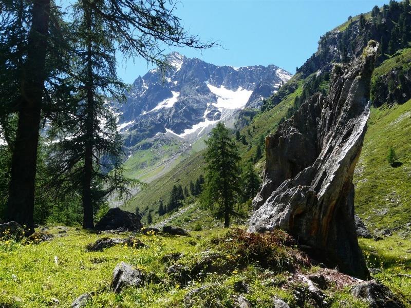 Pension Schoepf Arzl im Pitztal Exterior foto